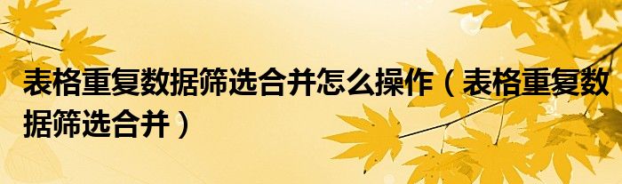 表格重复数据筛选合并怎么操作（表格重复数据筛选合并）