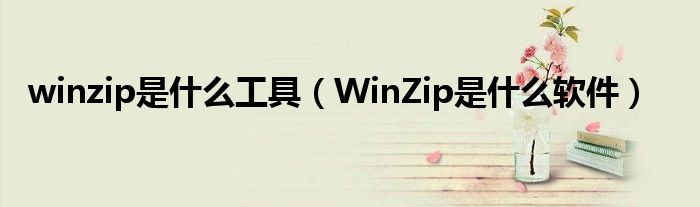 winzip是什么工具（WinZip是什么软件）