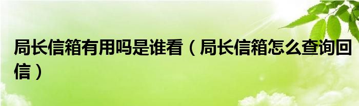 局长信箱有用吗是谁看（局长信箱怎么查询回信）