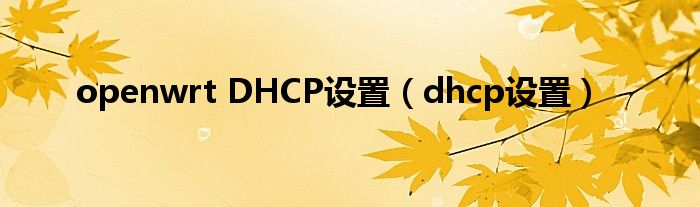 openwrt DHCP设置（dhcp设置）