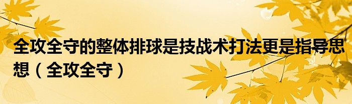 全攻全守的整体排球是技战术打法更是指导思想（全攻全守）