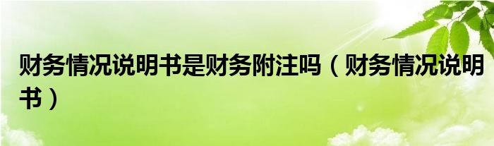 财务情况说明书是财务附注吗（财务情况说明书）