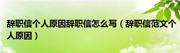 辞职信个人原因辞职信怎么写（辞职信范文个人原因）