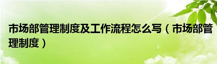 市场部管理制度及工作流程怎么写（市场部管理制度）