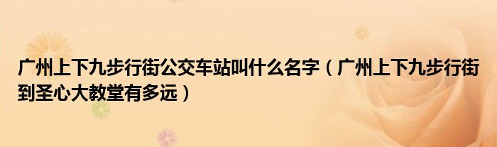 广州上下九步行街公交车站叫什么名字（广州上下九步行街到圣心大教堂有多远）