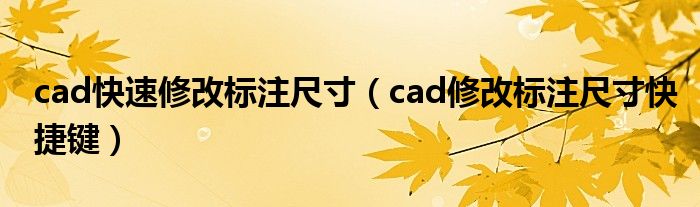 cad快速修改标注尺寸（cad修改标注尺寸快捷键）