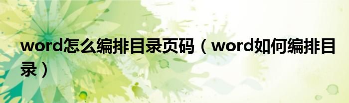 word怎么编排目录页码（word如何编排目录）