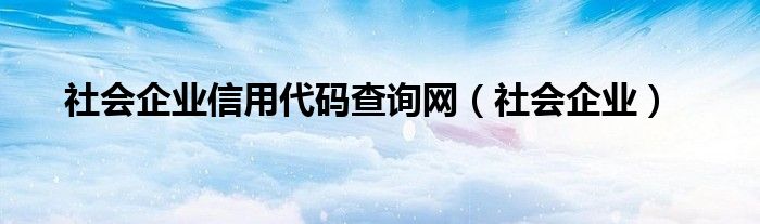 社会企业信用代码查询网（社会企业）