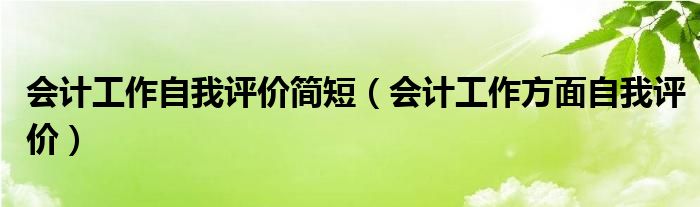 会计工作自我评价简短（会计工作方面自我评价）