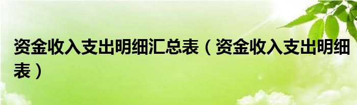 资金收入支出明细汇总表（资金收入支出明细表）