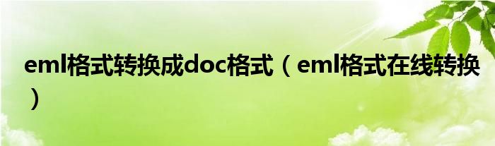 eml格式转换成doc格式（eml格式在线转换）