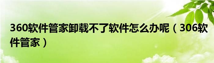 360软件管家卸载不了软件怎么办呢（306软件管家）