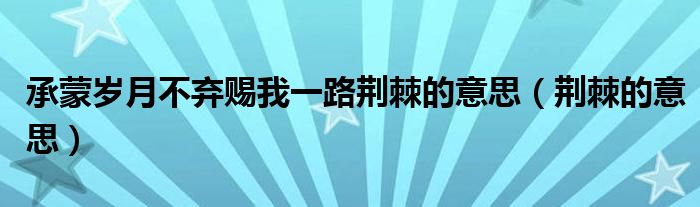 承蒙岁月不弃赐我一路荆棘的意思（荆棘的意思）