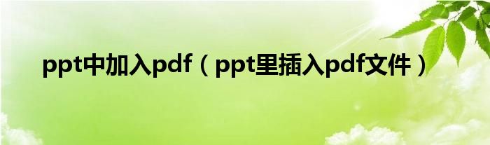 ppt中加入pdf（ppt里插入pdf文件）