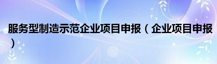 服务型制造示范企业项目申报（企业项目申报）