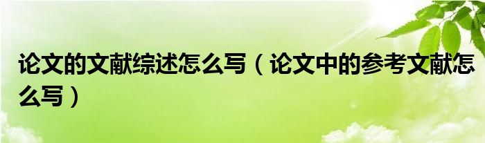 论文的文献综述怎么写（论文中的参考文献怎么写）