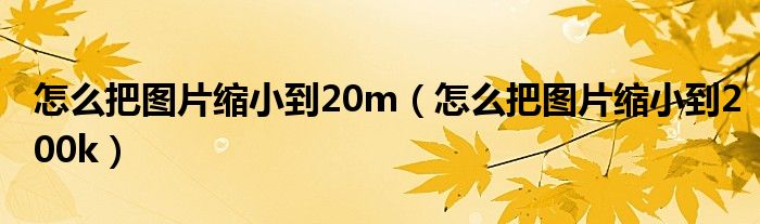 怎么把图片缩小到20m（怎么把图片缩小到200k）