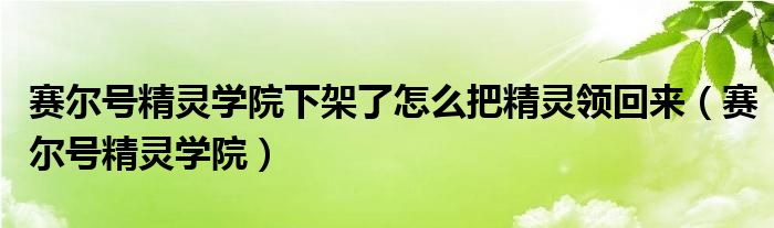 赛尔号精灵学院下架了怎么把精灵领回来（赛尔号精灵学院）