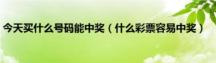 今天买什么号码能中奖（什么彩票容易中奖）