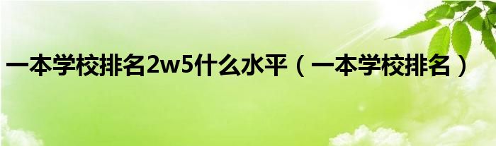 一本学校排名2w5什么水平（一本学校排名）