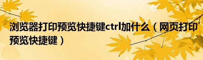 浏览器打印预览快捷键ctrl加什么（网页打印预览快捷键）