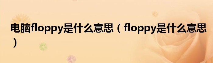 电脑floppy是什么意思（floppy是什么意思）