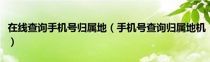 在线查询手机号归属地（手机号查询归属地机）