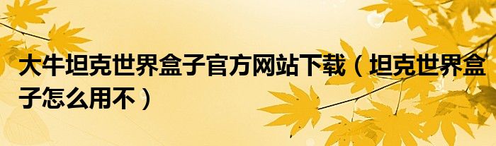 大牛坦克世界盒子官方网站下载（坦克世界盒子怎么用不）