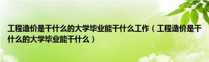 工程造价是干什么的大学毕业能干什么工作（工程造价是干什么的大学毕业能干什么）