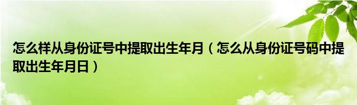 怎么样从身份证号中提取出生年月（怎么从身份证号码中提取出生年月日）