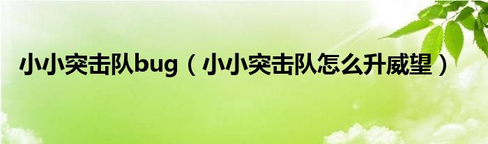 小小突击队bug（小小突击队怎么升威望）