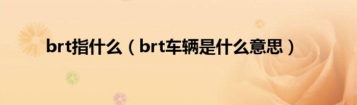 brt指什么（brt车辆是什么意思）