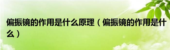 偏振镜的作用是什么原理（偏振镜的作用是什么）