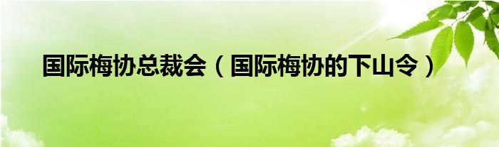 国际梅协总裁会（国际梅协的下山令）