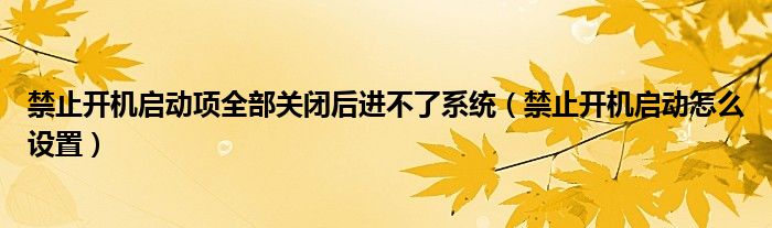 禁止开机启动项全部关闭后进不了系统（禁止开机启动怎么设置）