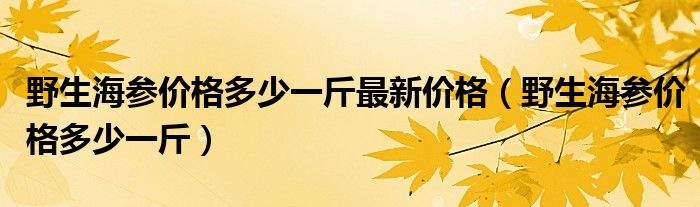 野生海参价格多少一斤最新价格（野生海参价格多少一斤）