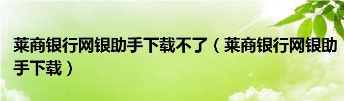 莱商银行网银助手下载不了（莱商银行网银助手下载）