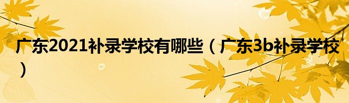 广东2021补录学校有哪些（广东3b补录学校）