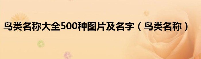 鸟类名称大全500种图片及名字（鸟类名称）