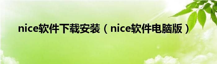 nice软件下载安装（nice软件电脑版）