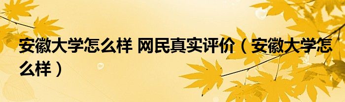 安徽大学怎么样 网民真实评价（安徽大学怎么样）