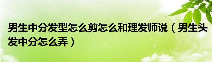 男生中分发型怎么剪怎么和理发师说（男生头发中分怎么弄）