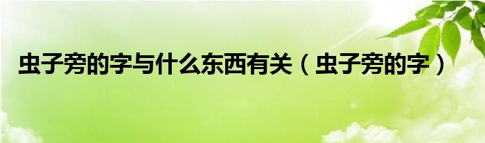 虫子旁的字与什么东西有关（虫子旁的字）