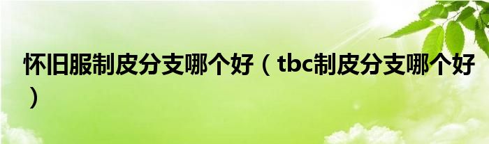 怀旧服制皮分支哪个好（tbc制皮分支哪个好）