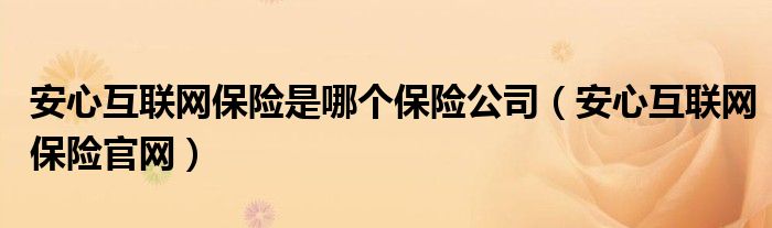 安心互联网保险是哪个保险公司（安心互联网保险官网）