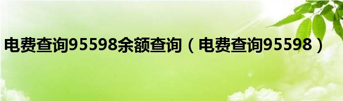 电费查询95598余额查询（电费查询95598）