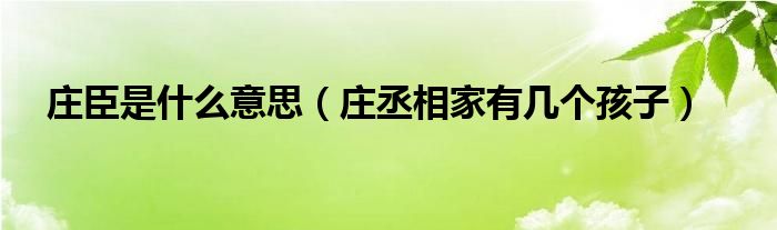 庄臣是什么意思（庄丞相家有几个孩子）