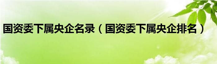 国资委下属央企名录（国资委下属央企排名）