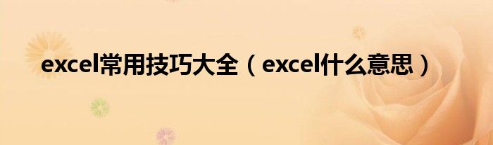 excel常用技巧大全（excel什么意思）