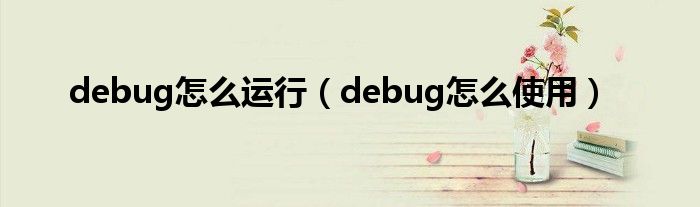 debug怎么运行（debug怎么使用）